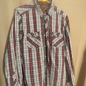 Buffalo in great condition